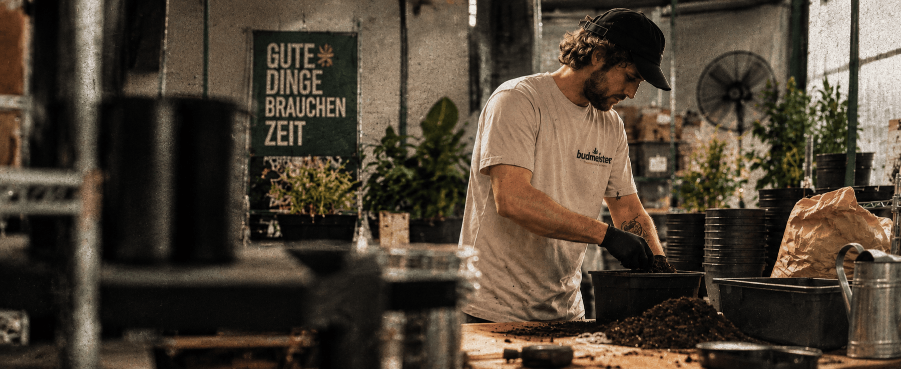 Mitarbeiter von Budmeister bei der Pflanzenpflege